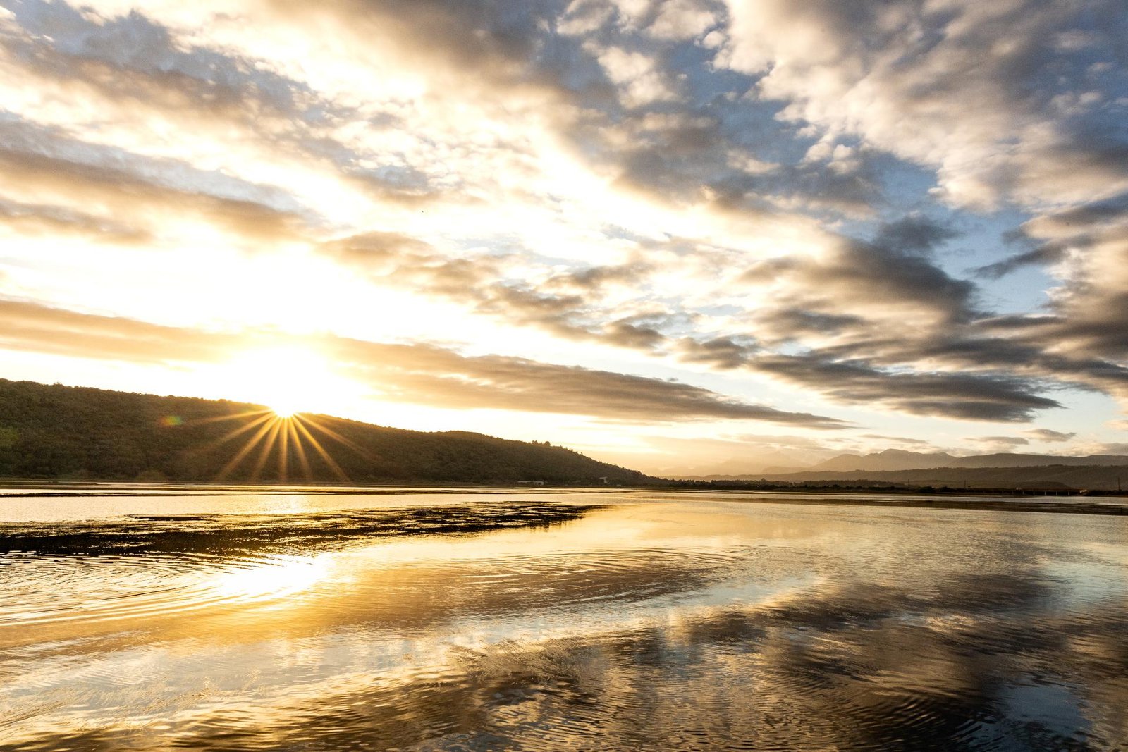 SWARTVLEI _ OCT 2025 _ CALLUM O CONNOR-3368