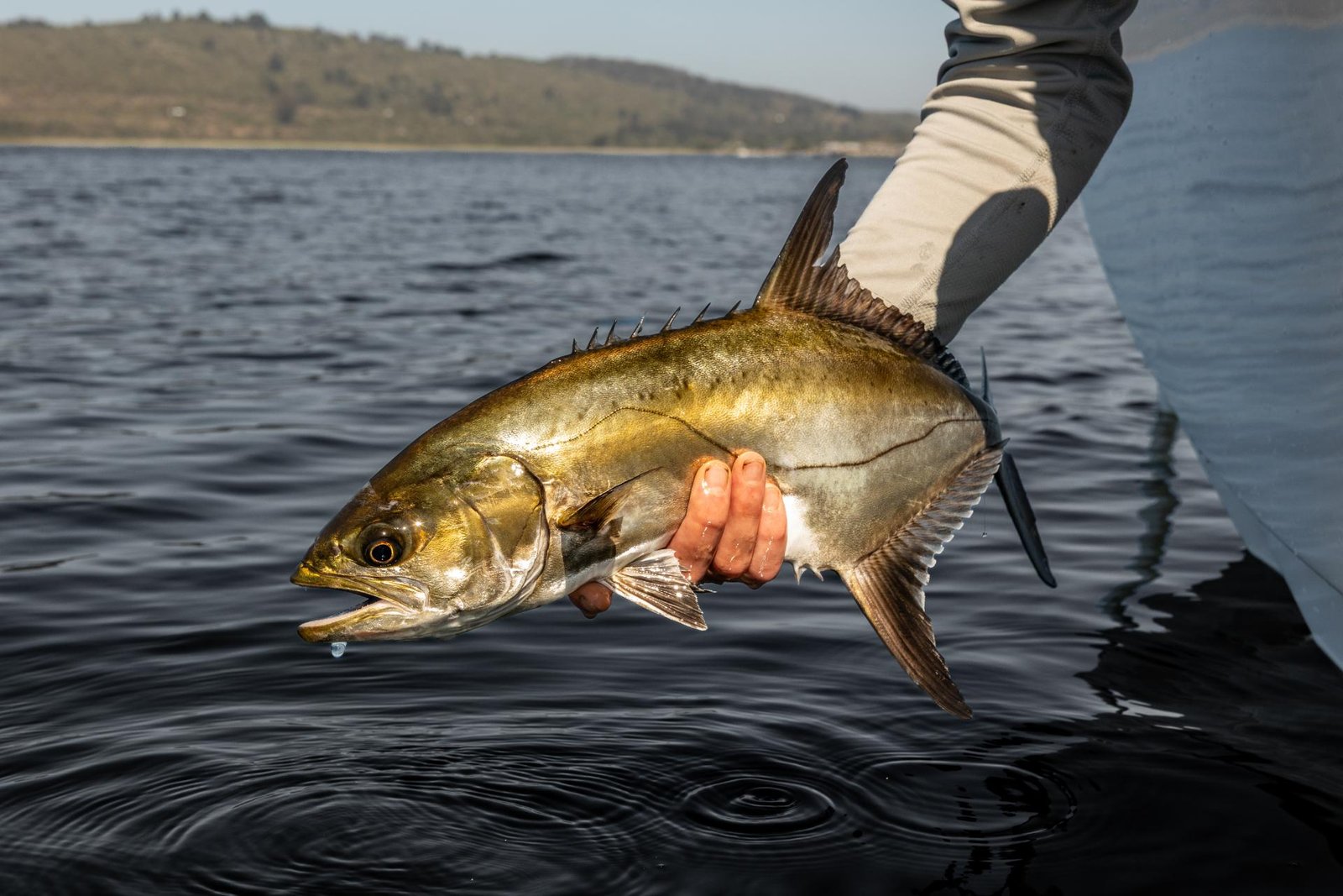 SWARTVLEI _ OCT 2025 _ DEVON DODD-2997