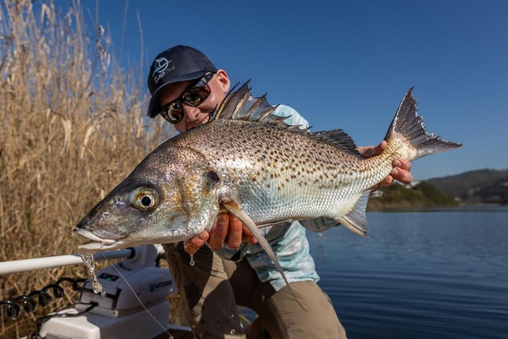 Angler with a trophy Spotted Grunter sight fished on the Touw River, Wilderness