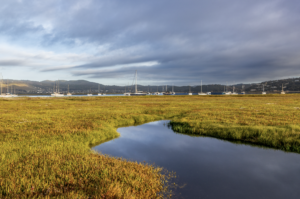 Knysna Lagoon