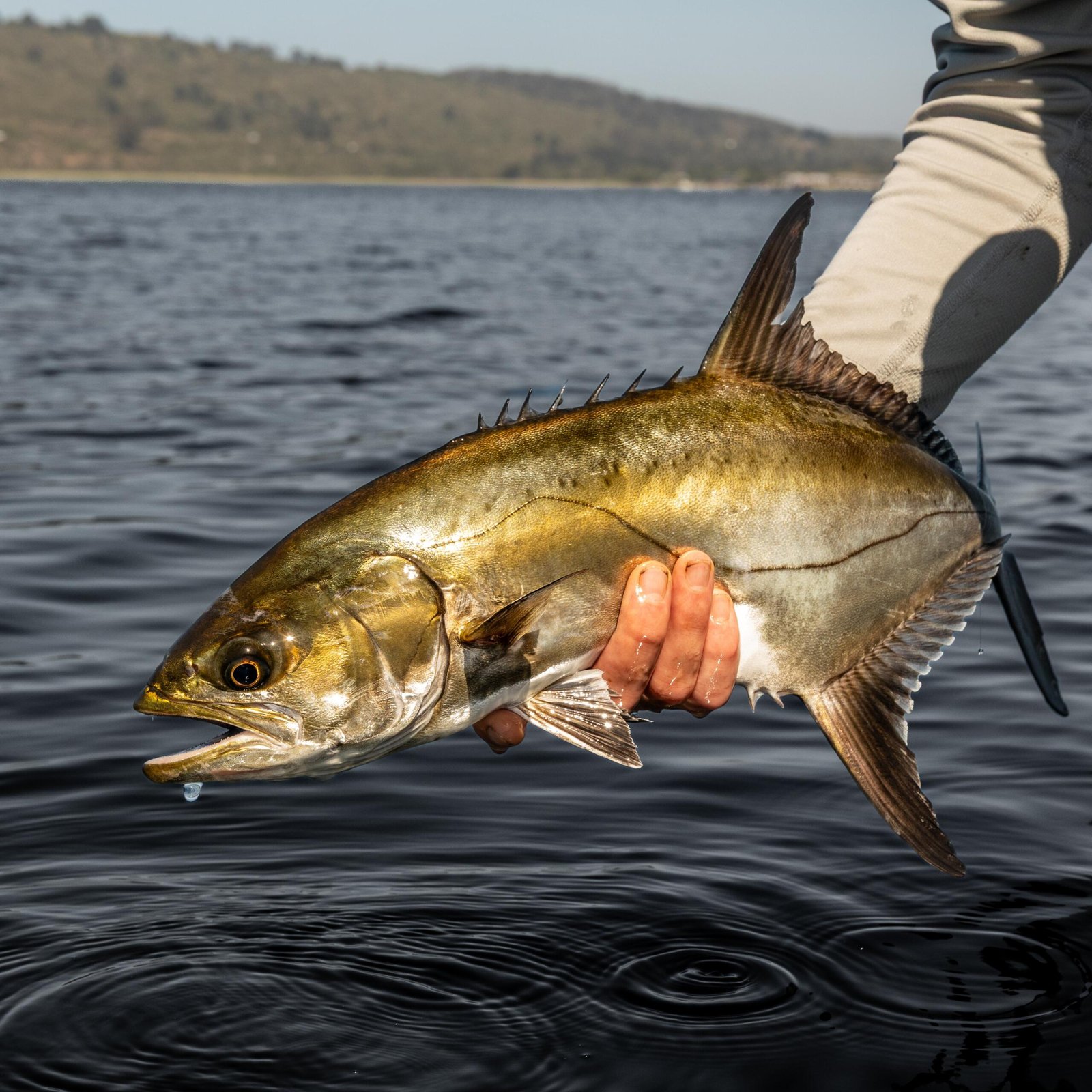 FISHING TRIP SWARTVLEI SEDGEFIELD GARDEN ROUTE THE WATER CLUB S7